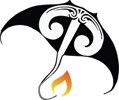 Bay of Islands BOI Gas logo